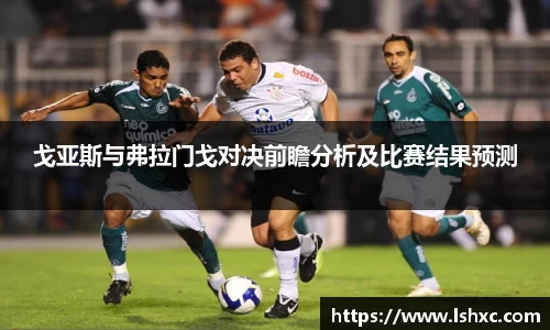 戈亚斯与弗拉门戈对决前瞻分析及比赛结果预测
