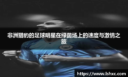 非洲猎豹的足球明星在绿茵场上的速度与激情之旅