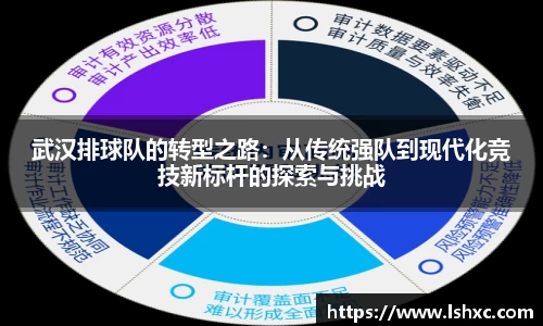 武汉排球队的转型之路：从传统强队到现代化竞技新标杆的探索与挑战